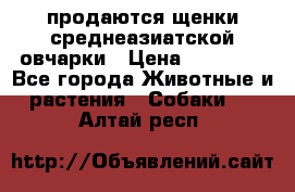 продаются щенки среднеазиатской овчарки › Цена ­ 30 000 - Все города Животные и растения » Собаки   . Алтай респ.